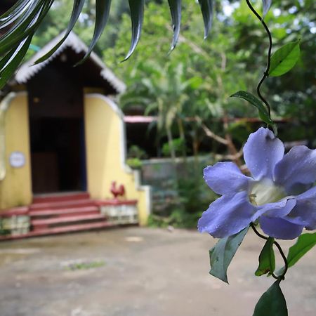 Phoenix Castle House Palolem Канкон Экстерьер фото