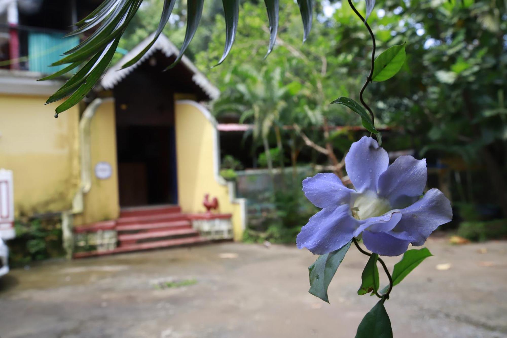 Phoenix Castle House Palolem Канкон Экстерьер фото